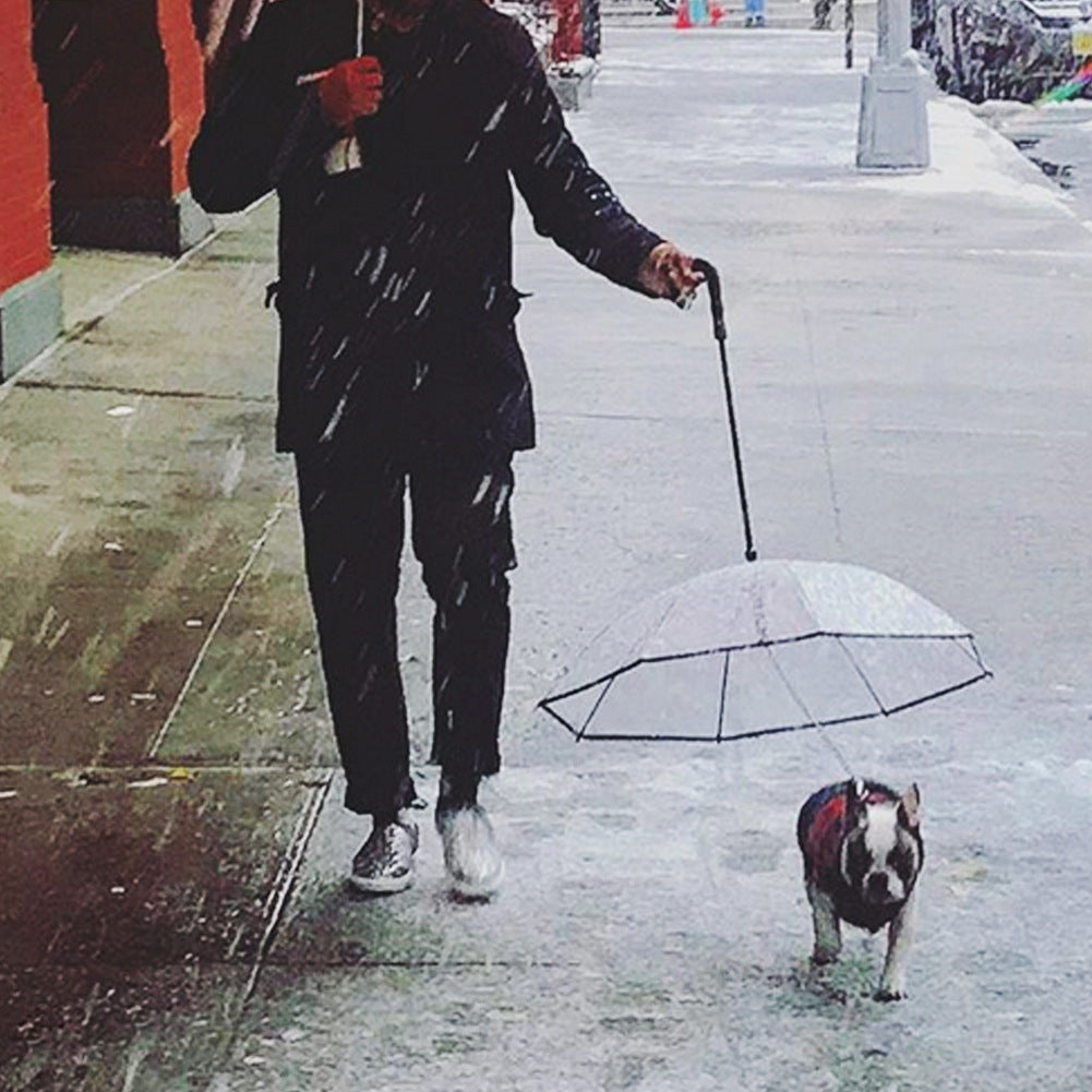 Hunderegen­schutz / Hunde-Regenschirm mit Zugband – transparent & stabil
