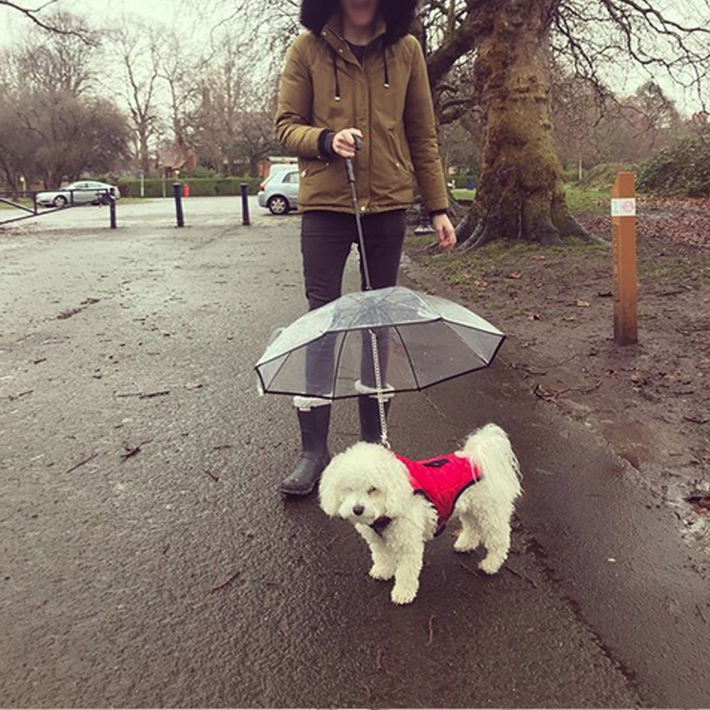Hunderegen­schutz / Hunde-Regenschirm mit Zugband – transparent & stabil