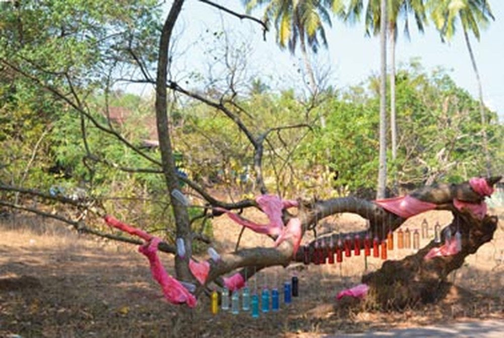 Puja I – Herbert Schero