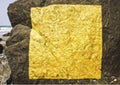 Square 1 – MANA – Herbert Schero
