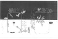 TraumSpielKarte – Herbert Schero